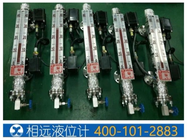 側裝磁翻板液位計有幾種保溫形式？