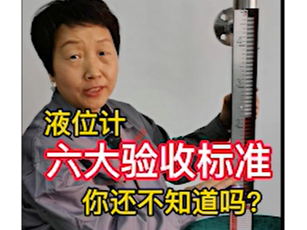 磁翻板液位計(jì)的六大驗(yàn)收標(biāo)準(zhǔn)